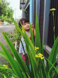 Portrait of girl looking at plants