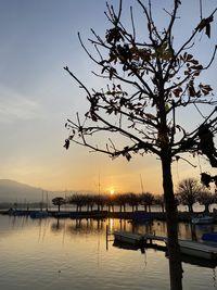 Silhouette tree by lake against sky during sunset