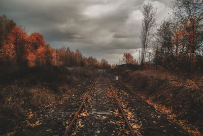 Railroad track amidst trees against sky