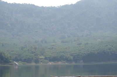 Scenic view of lake in forest