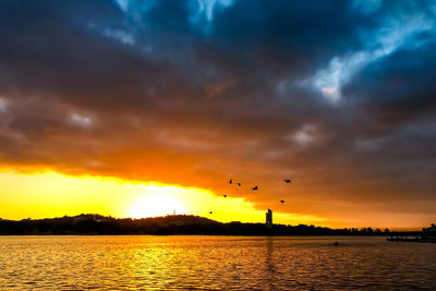 Silhouette birds flying over sea against orange sky