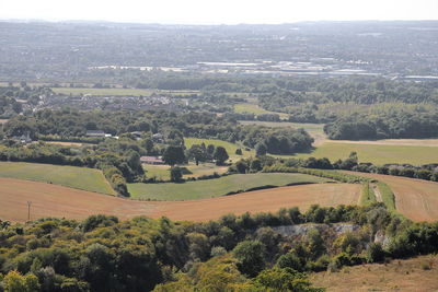 High angle view of agricultural field