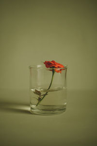 Close-up of red flower in glass