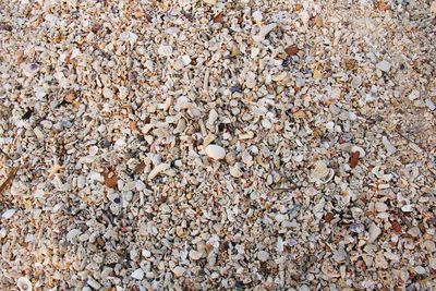 Full frame shot of stones on beach