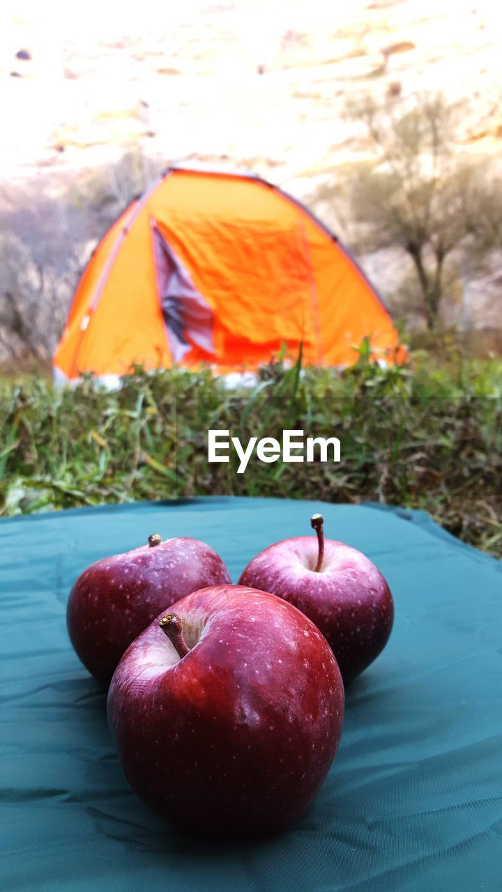 Close-up of apples