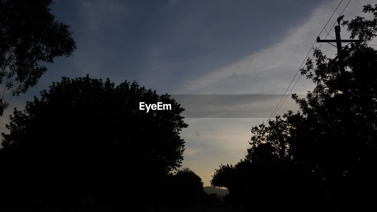 SILHOUETTE OF TREES AGAINST SKY