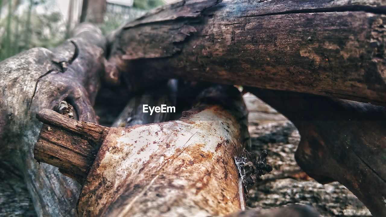 CLOSE-UP OF OLD WOODEN LOG