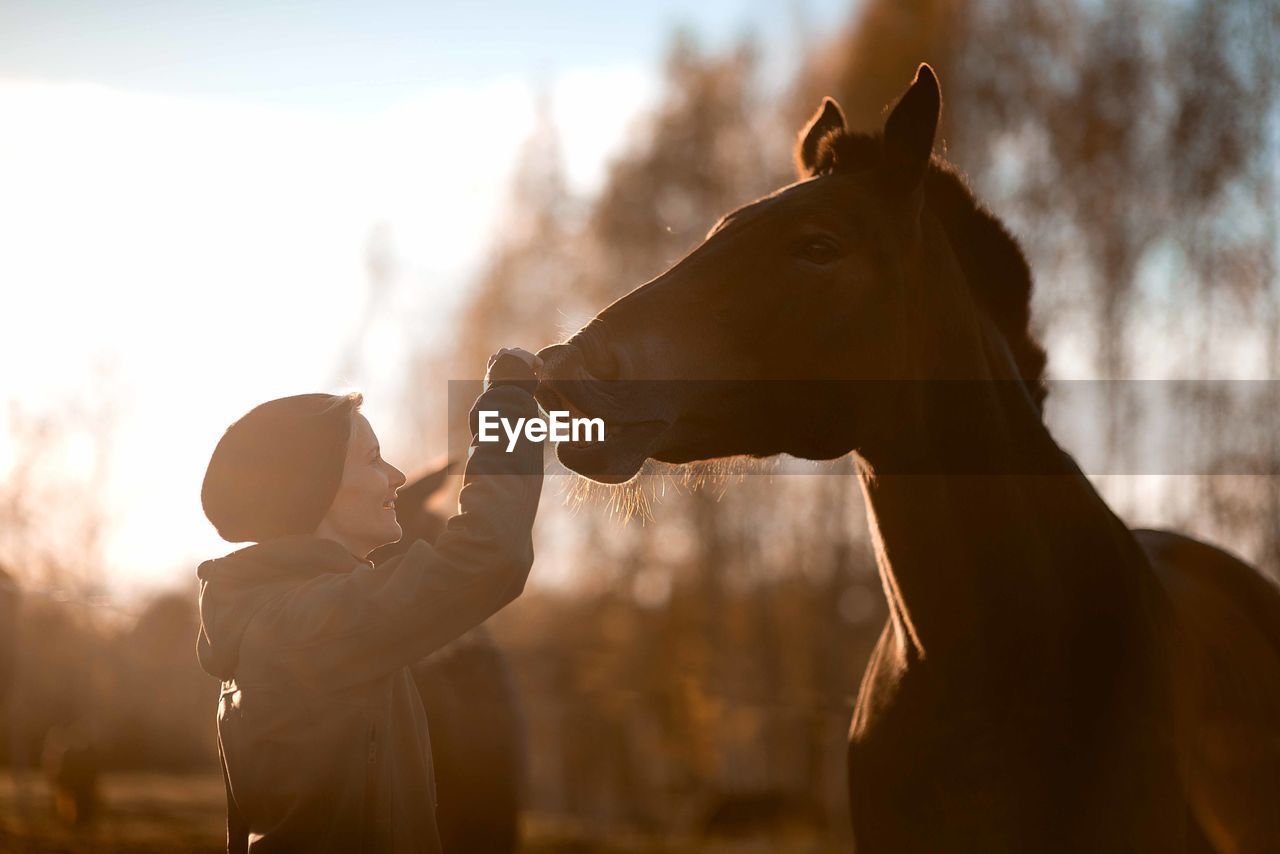 Side view of mid adult woman stroking horse while standing against sky in barn during sunset