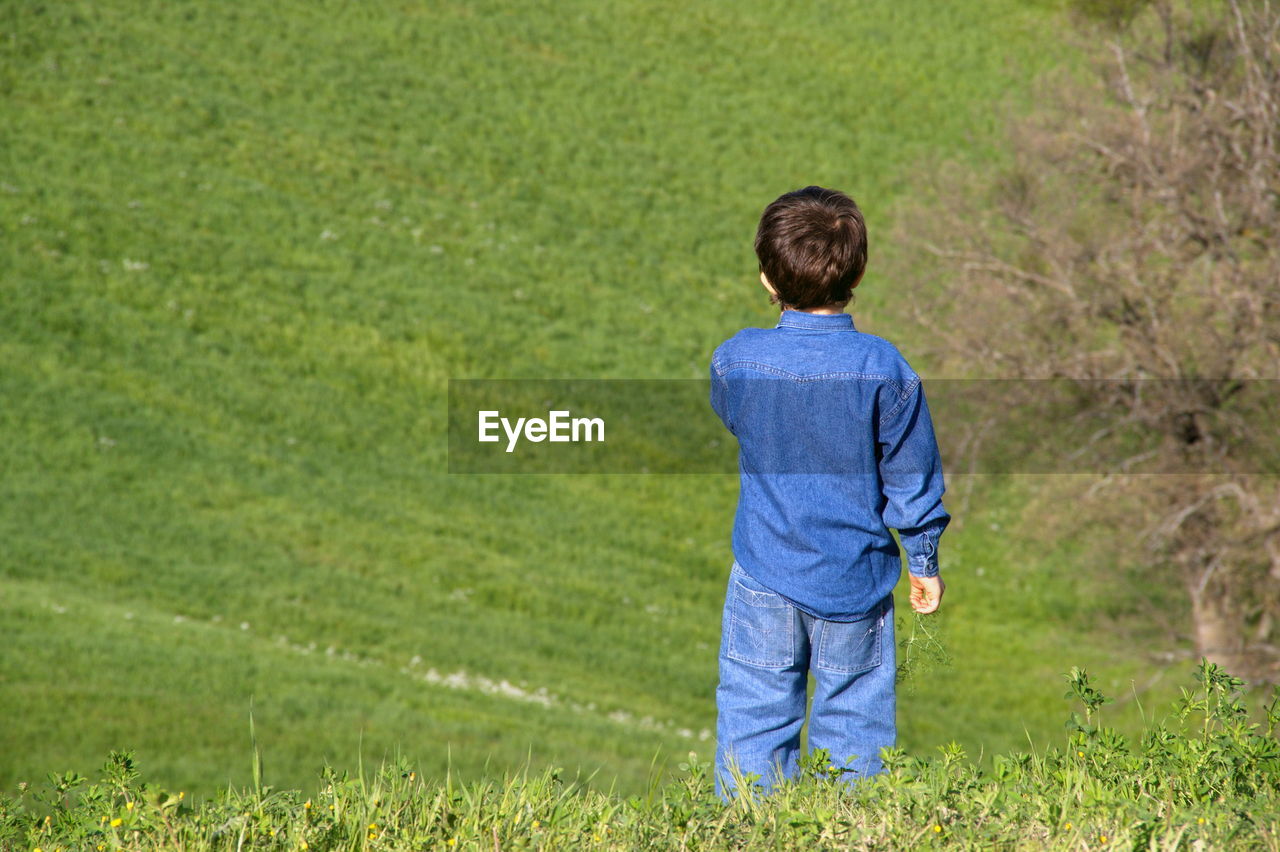 Rear view of boy standing on grassland