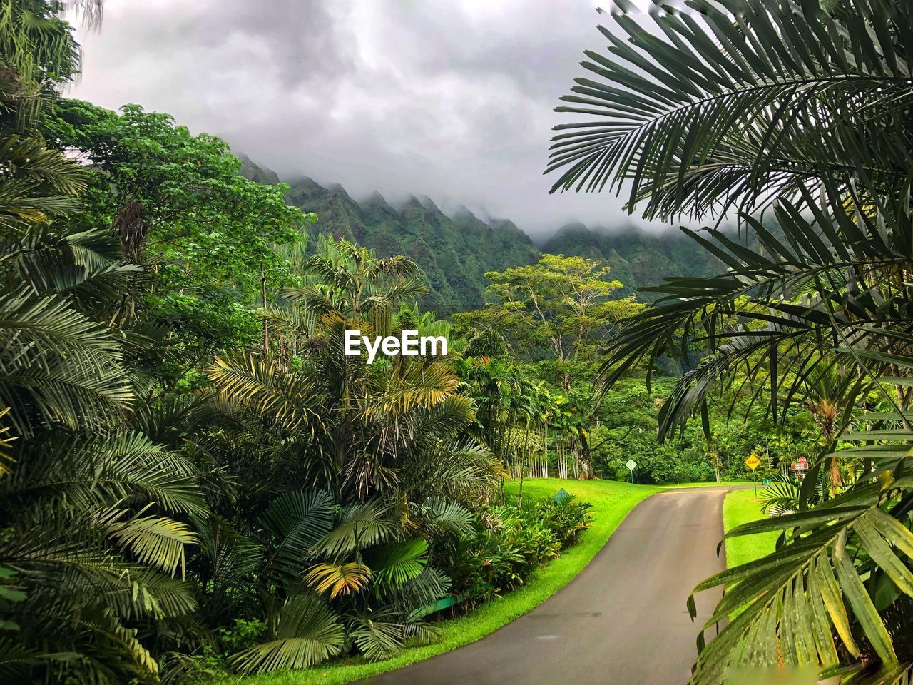 SCENIC VIEW OF PALM TREE AGAINST SKY