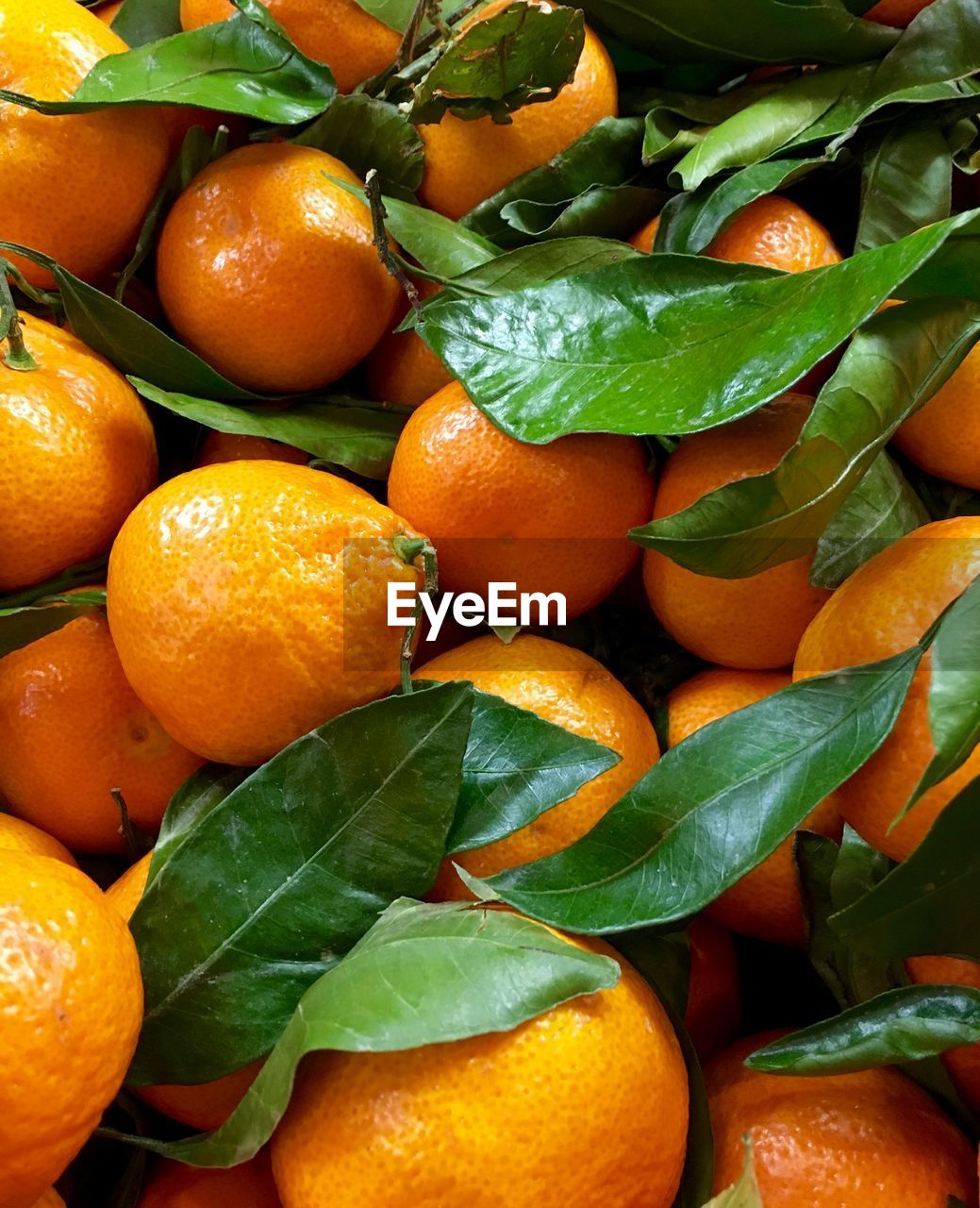 Full frame shot of oranges
