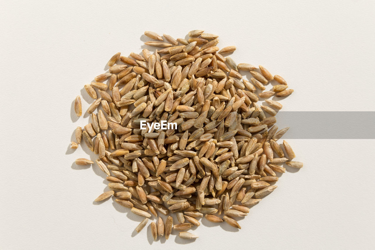 Close-up of wheat grain on white background