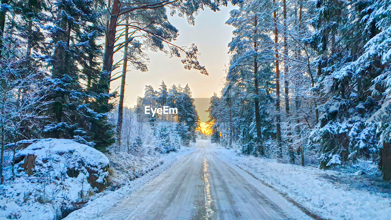 Road amidst trees against sky