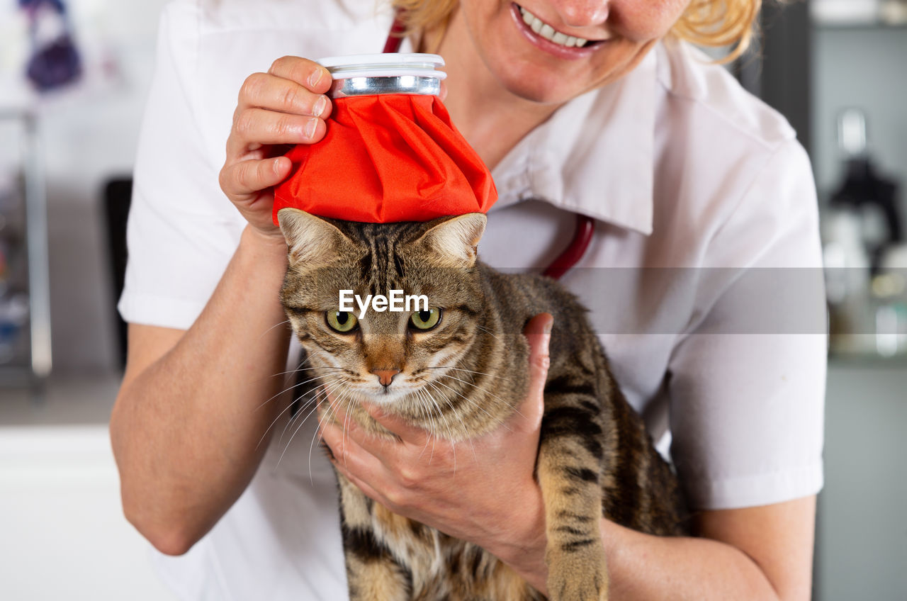 MIDSECTION OF WOMAN HOLDING CAT WITH HAND