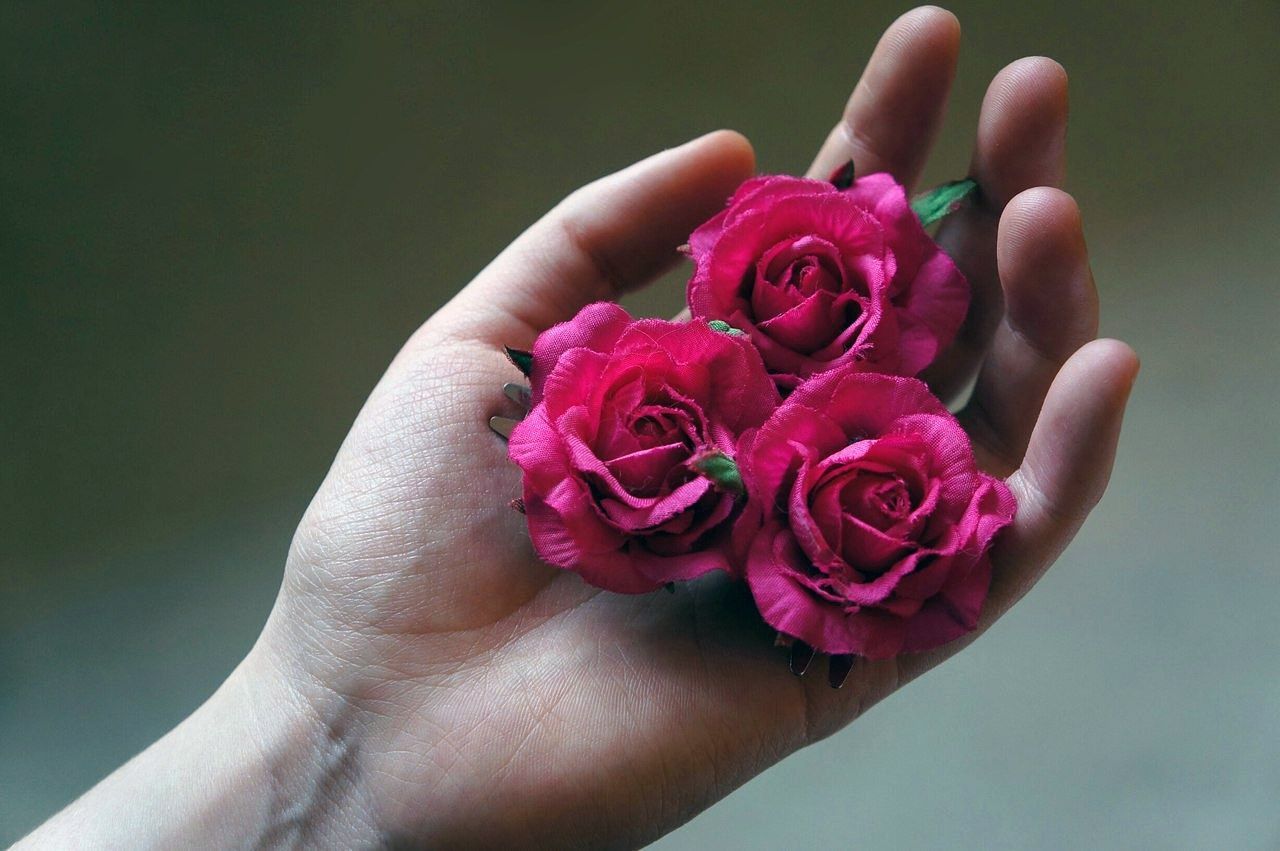 CLOSE-UP OF HAND HOLDING PINK ROSE OUTDOORS