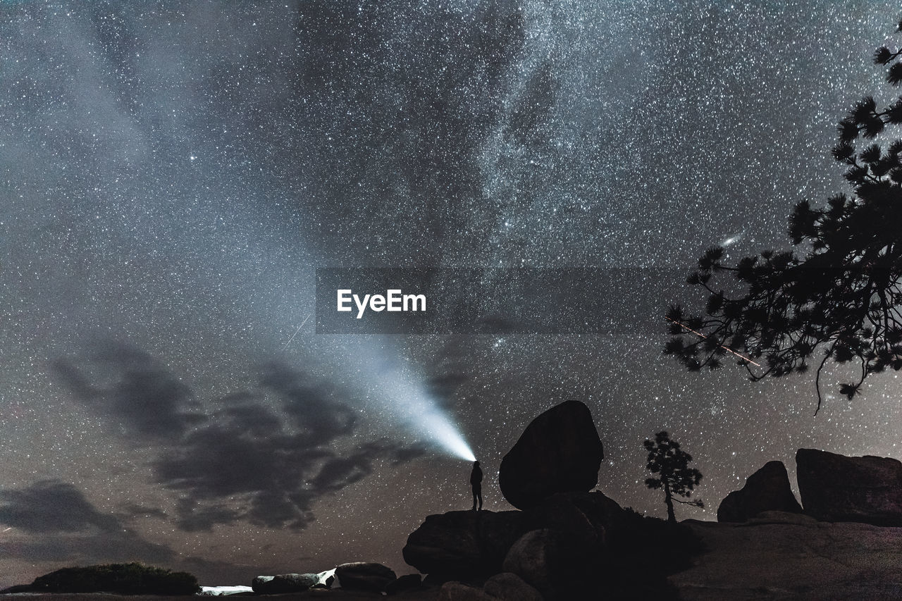 LOW ANGLE VIEW OF TREES AGAINST SKY AT NIGHT