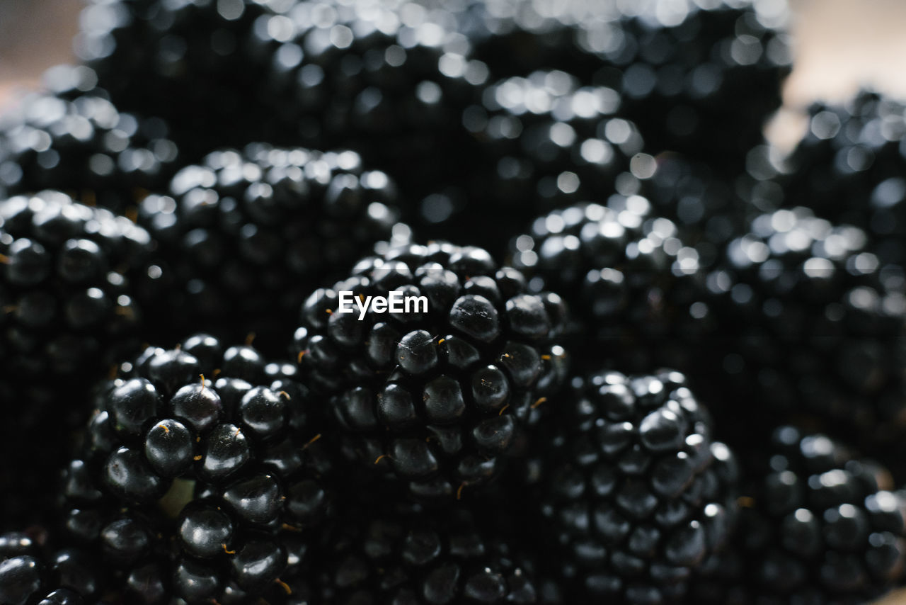 Background from fresh blackberries, close up. lot of ripe juicy wild fruit berries lying
