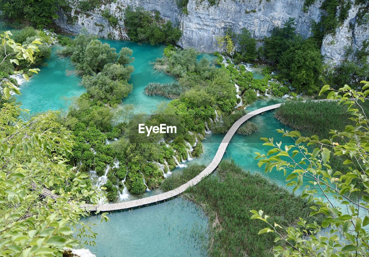 High angle view of lake amidst trees in forest