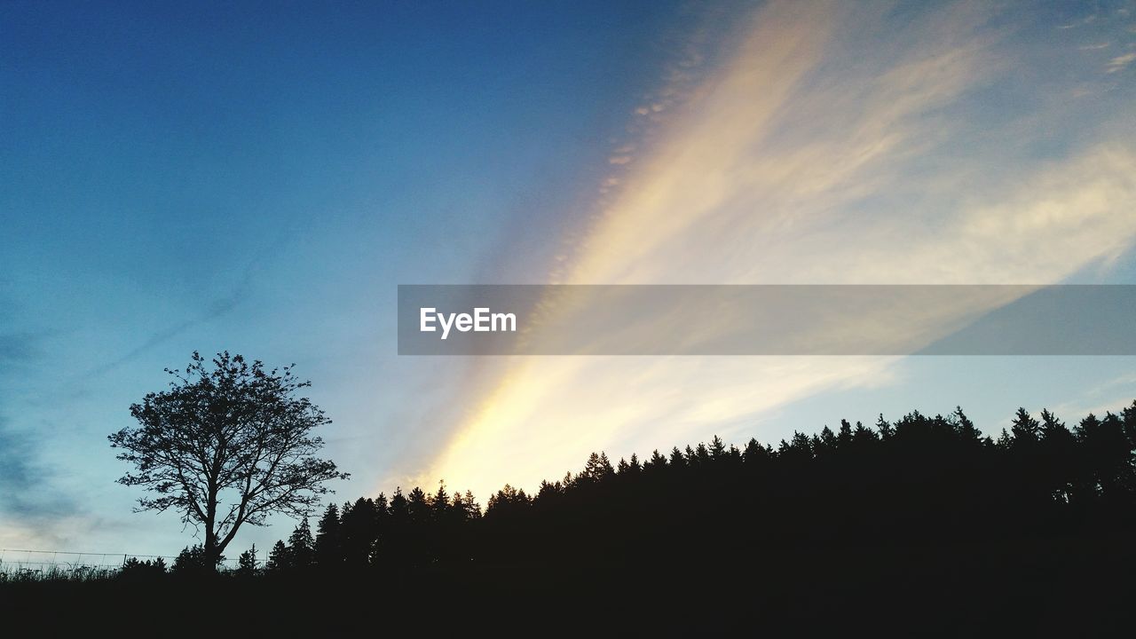 Silhouette trees against sky during sunset