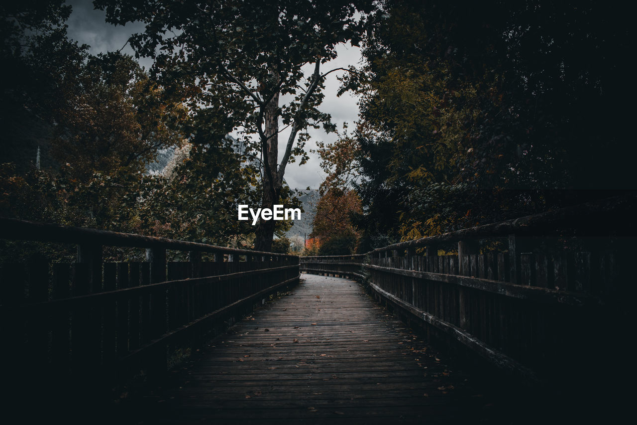 FOOTBRIDGE IN FOREST