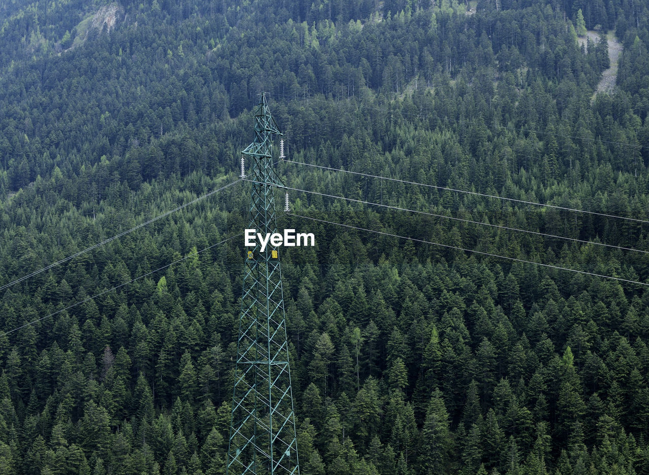 Aerial view of electricity pylon against pine trees growing in forest