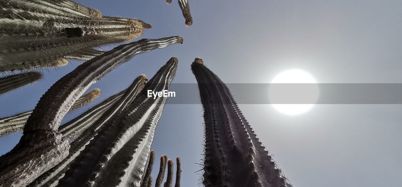 low angle view of hand holding umbrella against sky during sunset