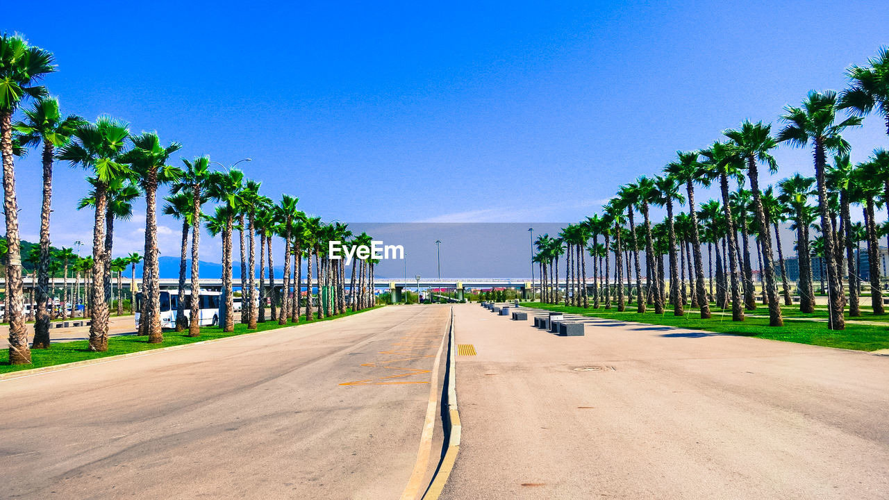 Street amidst palm trees at sochi olympic park against sky