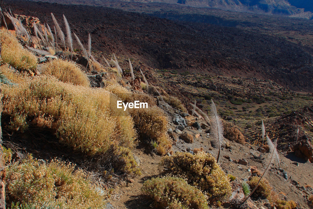 View of mountain landscape