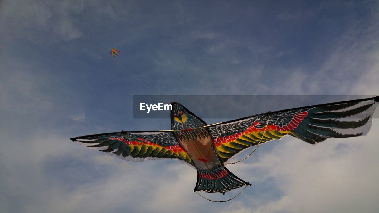 Low angle view of colorful bird shaped kite flying against sky