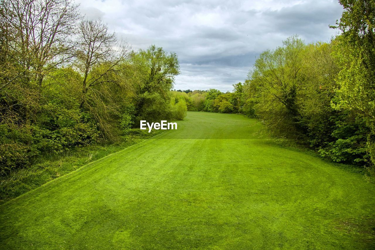 Trees growing on grassy field against cloudy sky