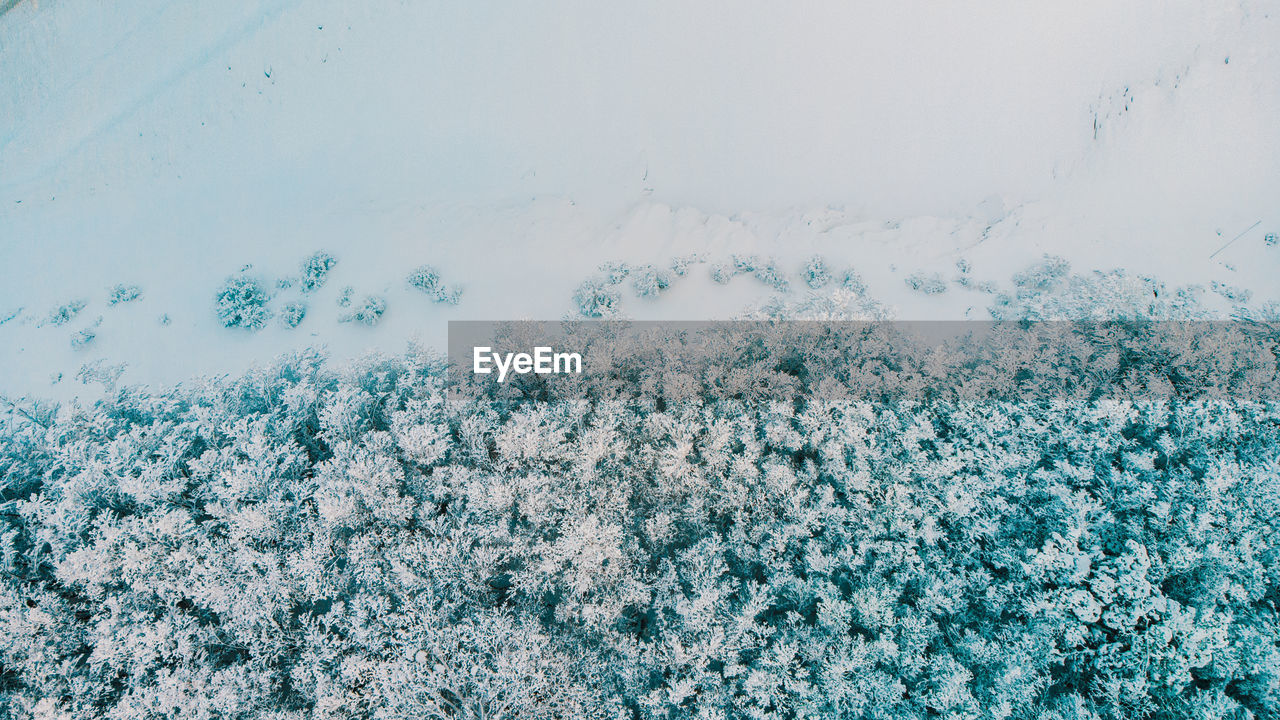 Aerial view of beach in winter