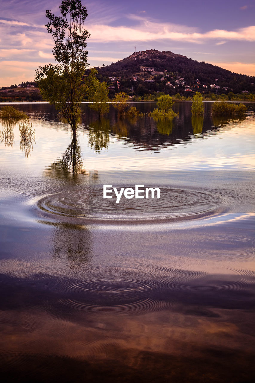 SCENIC VIEW OF LAKE BY TREES AGAINST SKY