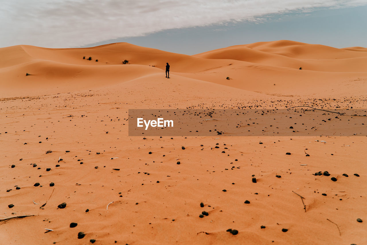 SCENIC VIEW OF SAND DUNE ON DESERT AGAINST SKY