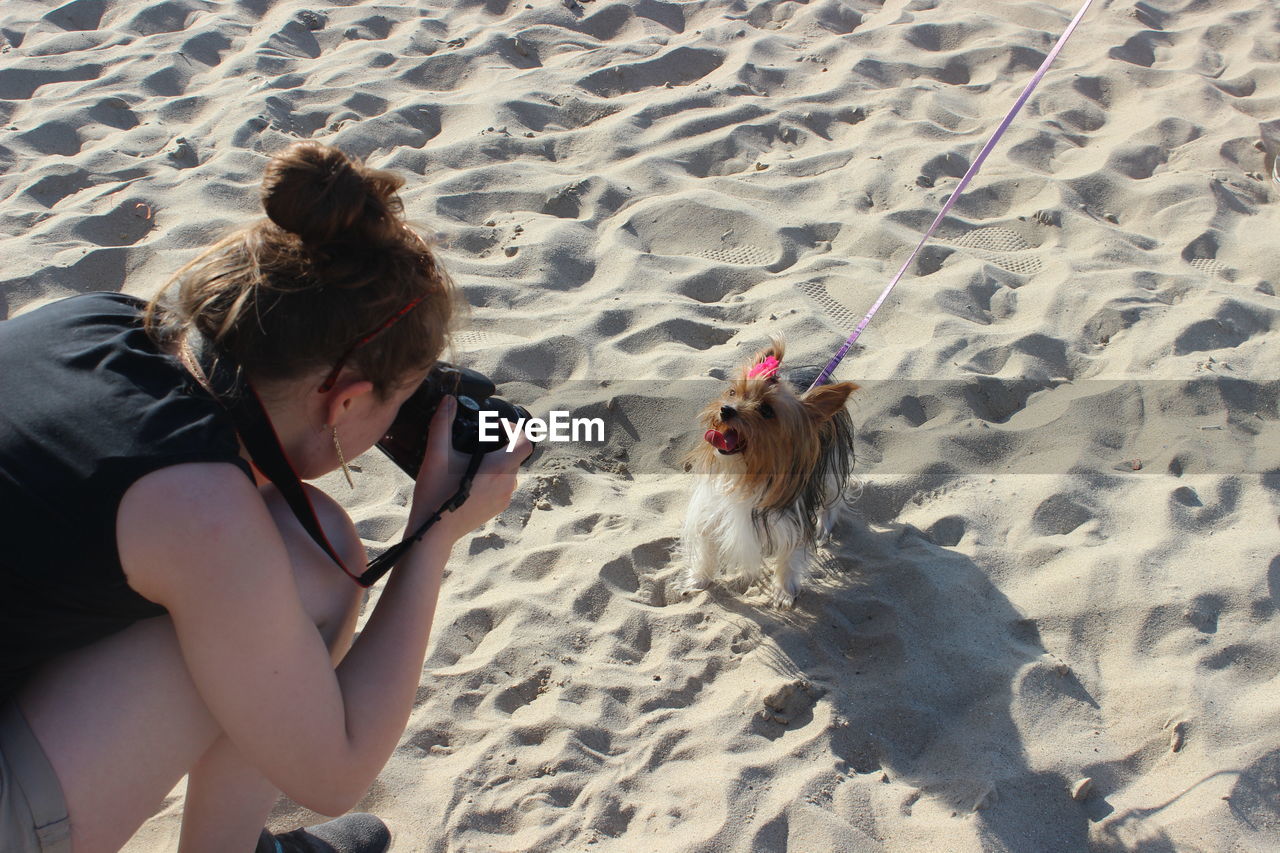 HIGH ANGLE VIEW OF DOG ON BEACH