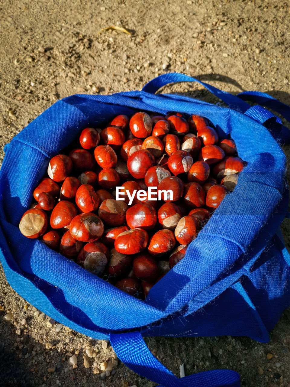 HIGH ANGLE VIEW OF FRUITS IN CONTAINER