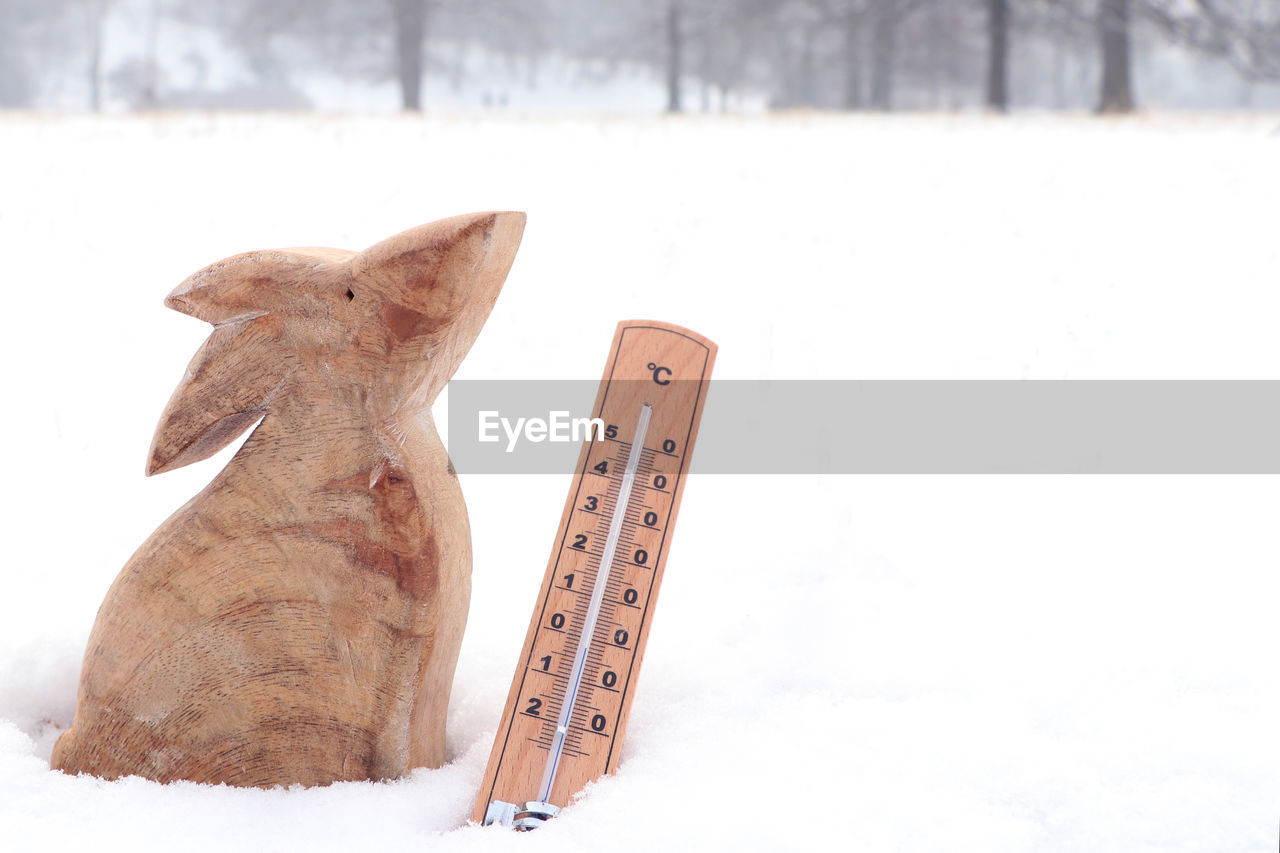 CLOSE-UP OF GIRAFFE ON SNOW