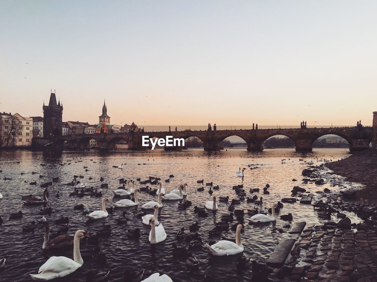 VIEW OF SWAN BRIDGE OVER RIVER IN CITY