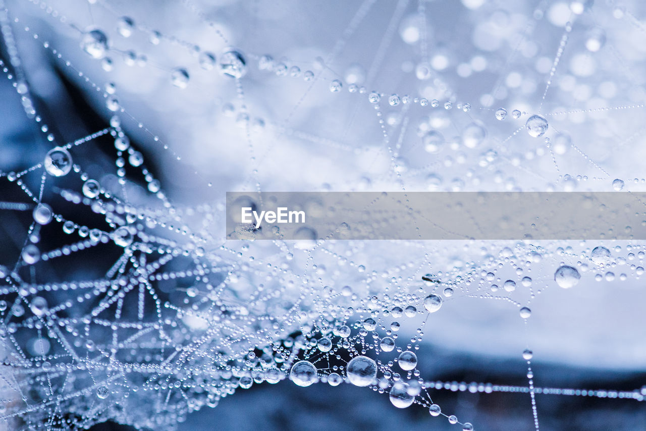 CLOSE-UP OF WATER DROPS ON BLUE SURFACE