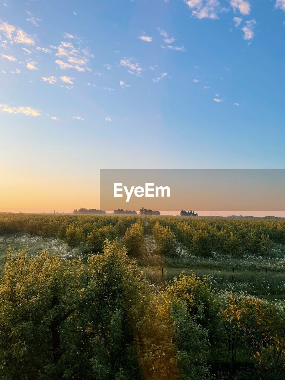 Scenic view of landscape against sky during sunset