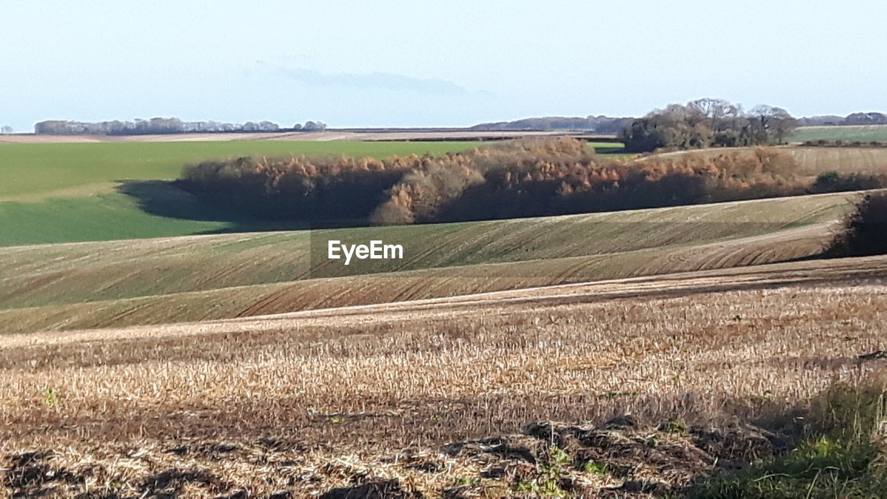 SCENIC VIEW OF FARM AGAINST SKY