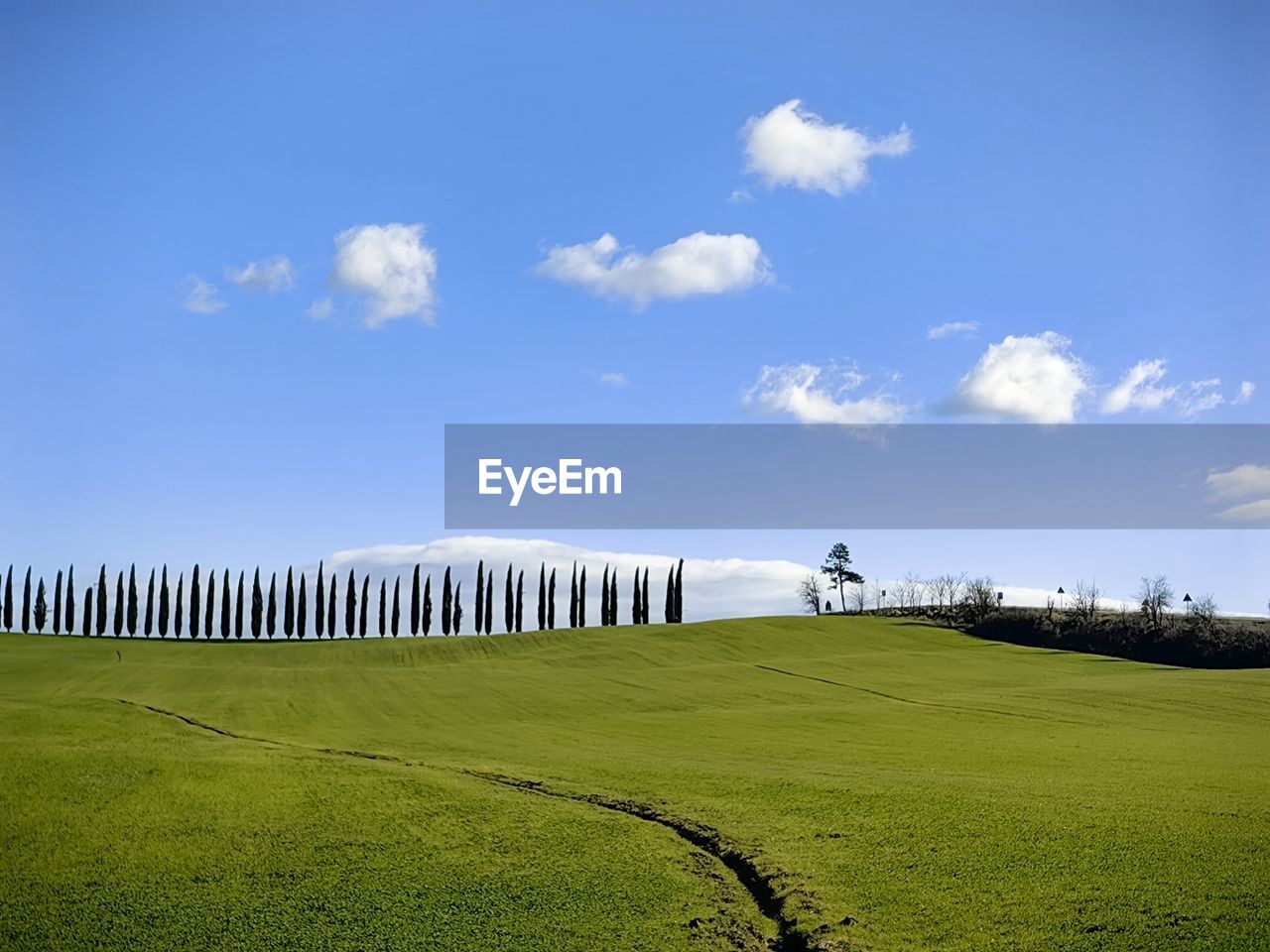 scenic view of grassy field against sky