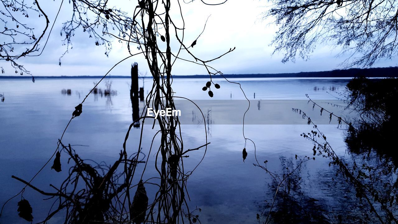 REFLECTION OF TREE IN LAKE AGAINST SKY