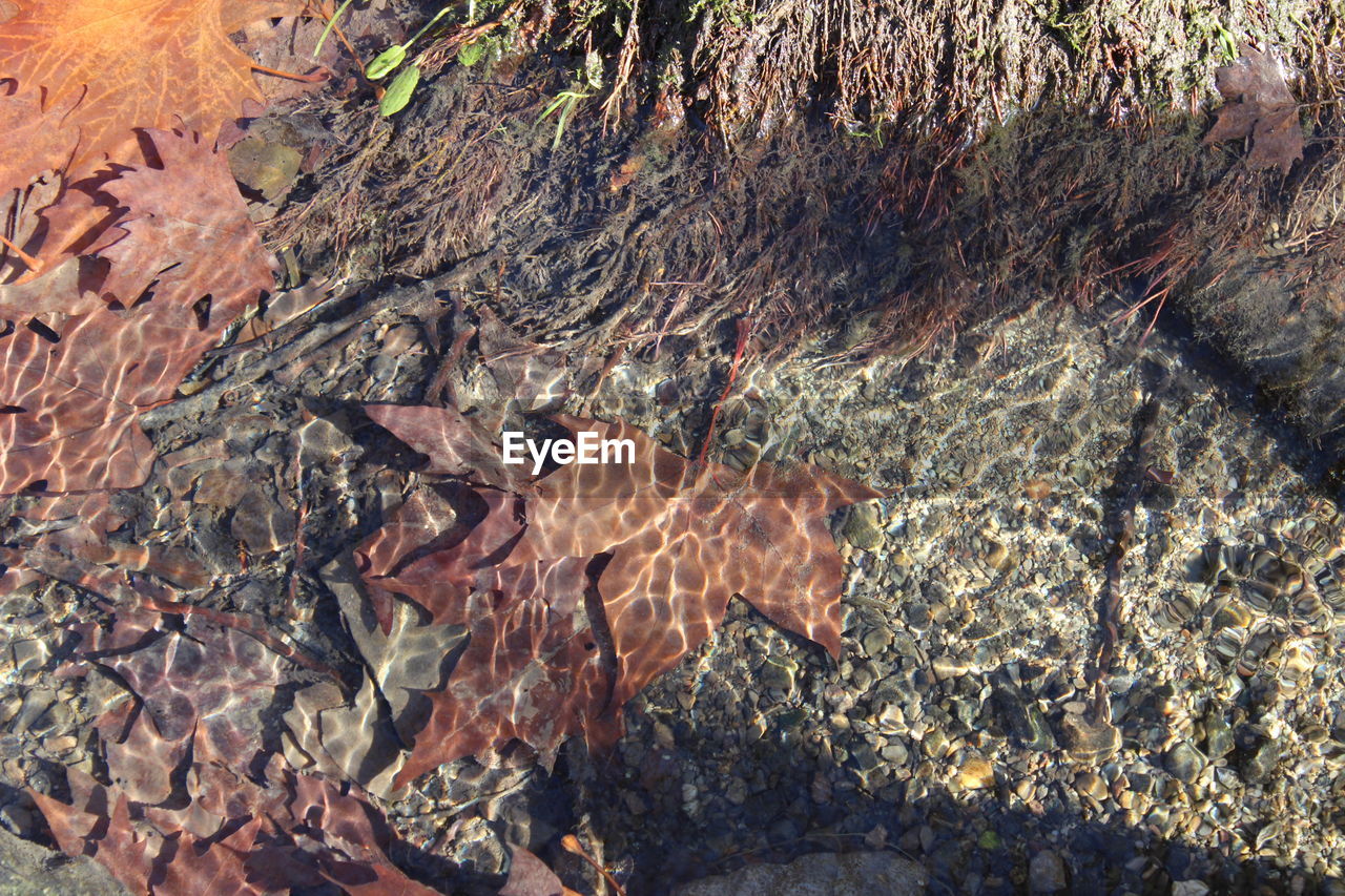 FULL FRAME SHOT OF WATER FLOWING ON ROCK