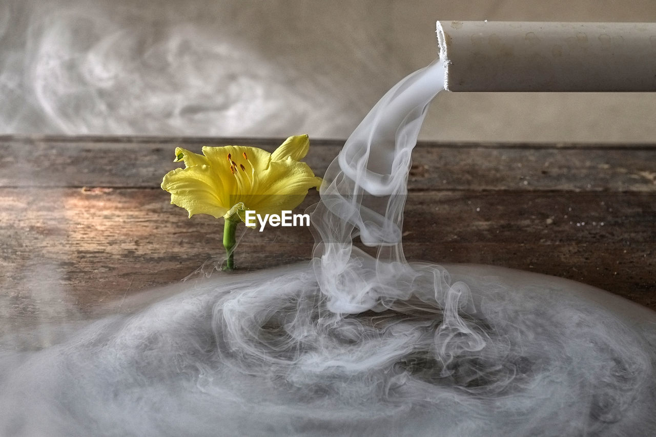 Yellow flower by smoke coming out from pipe