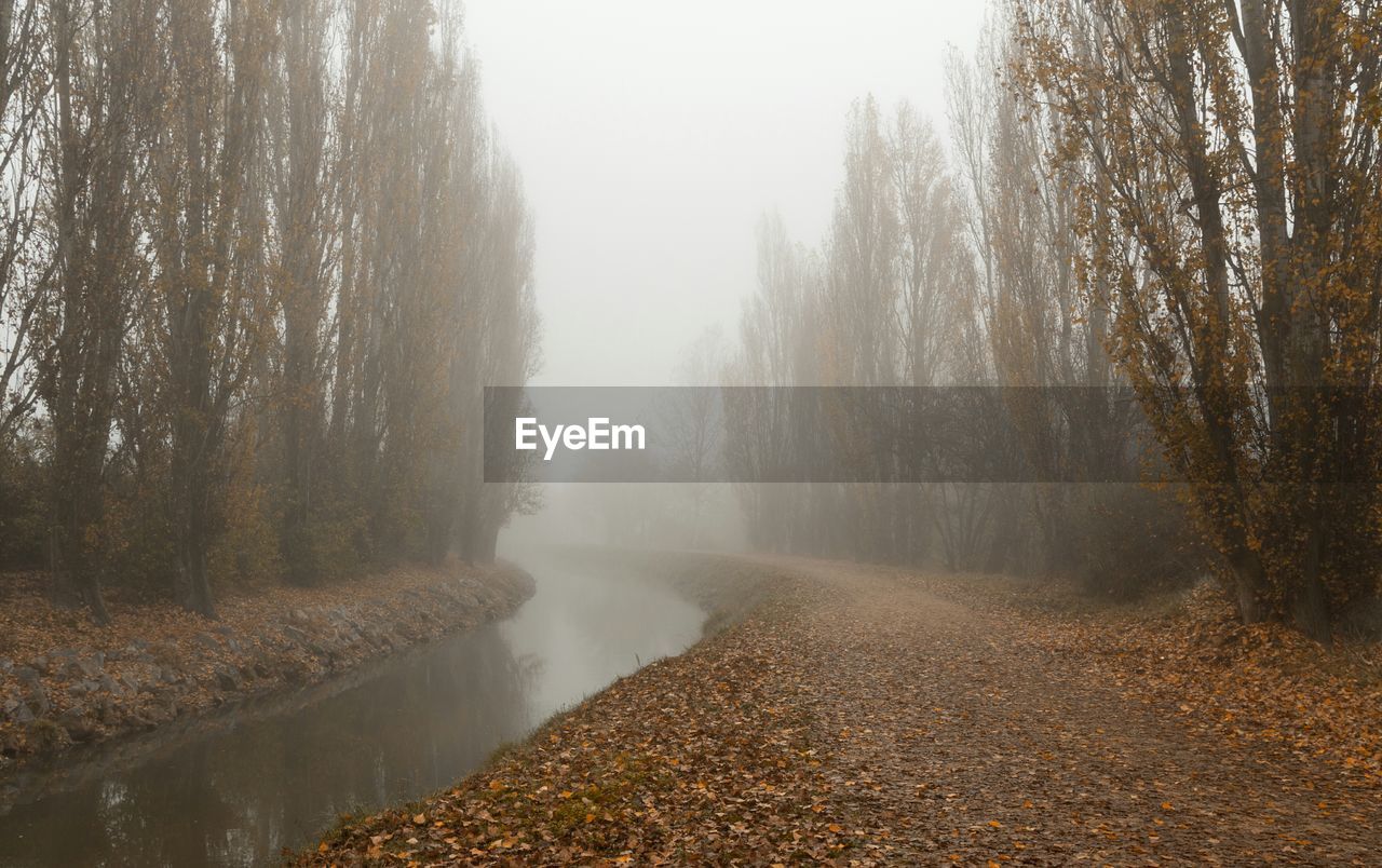 Dirt road by stream during foggy weather