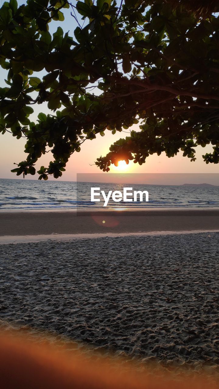 SCENIC VIEW OF BEACH DURING SUNSET