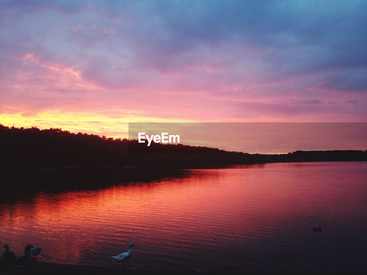 SCENIC VIEW OF LAKE DURING SUNSET