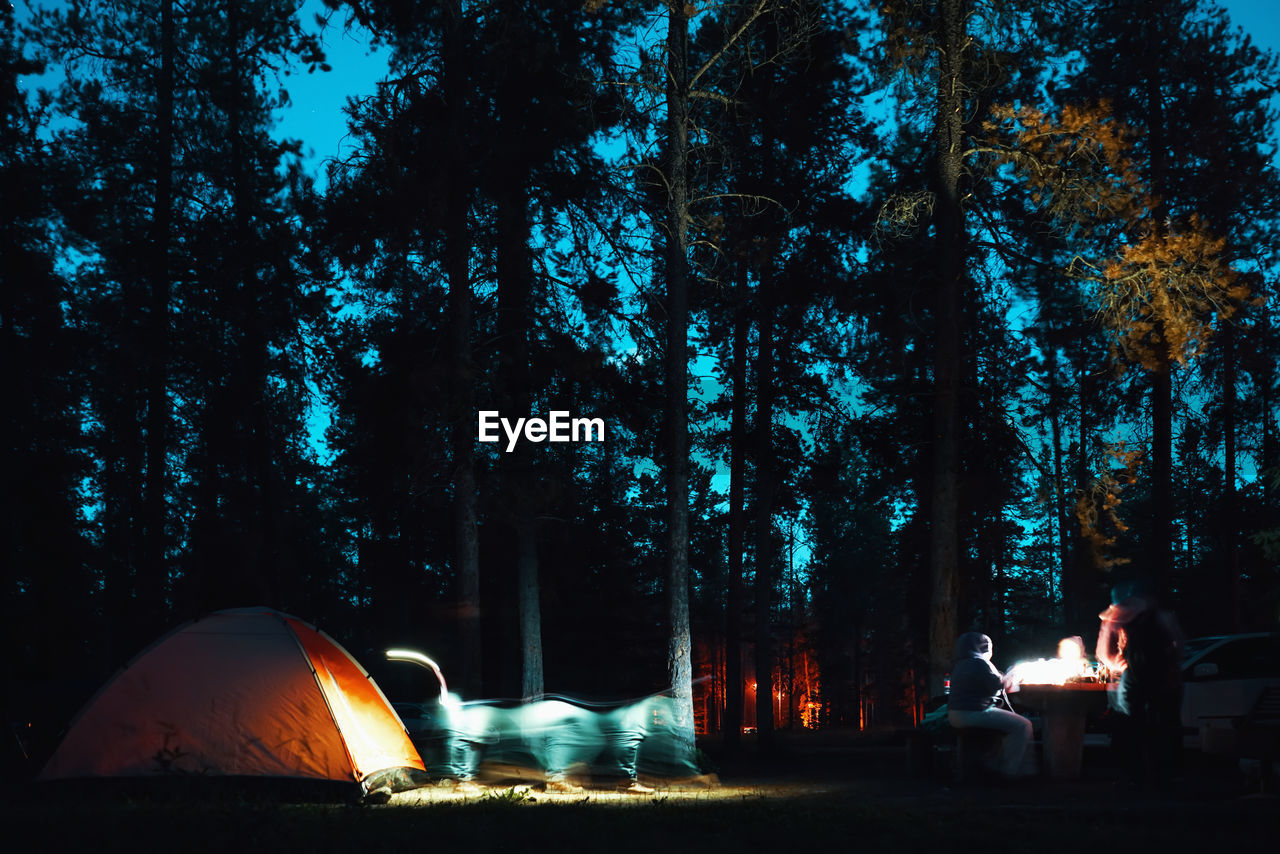 Tent in forest at night