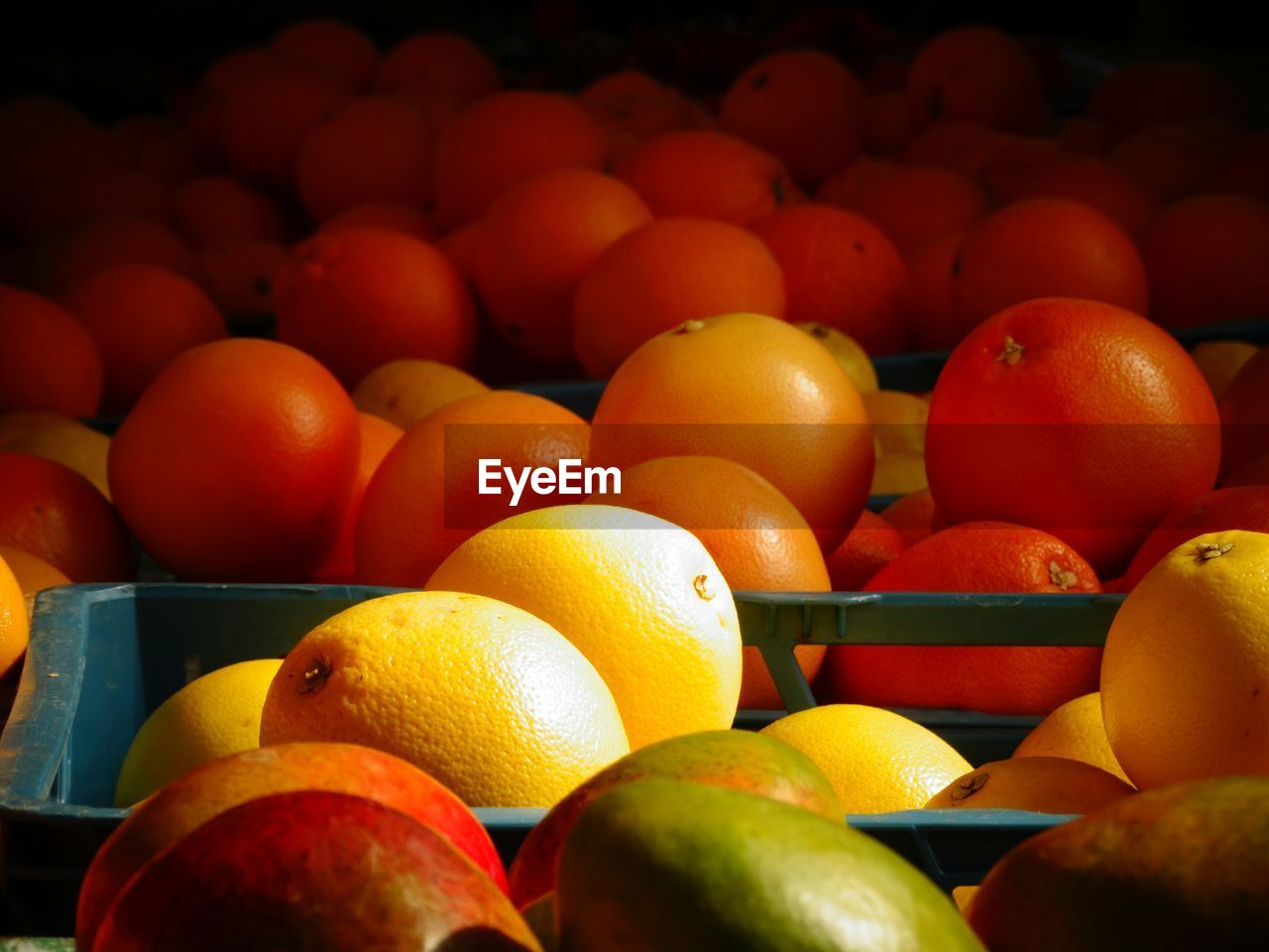 Oranges in market for sale