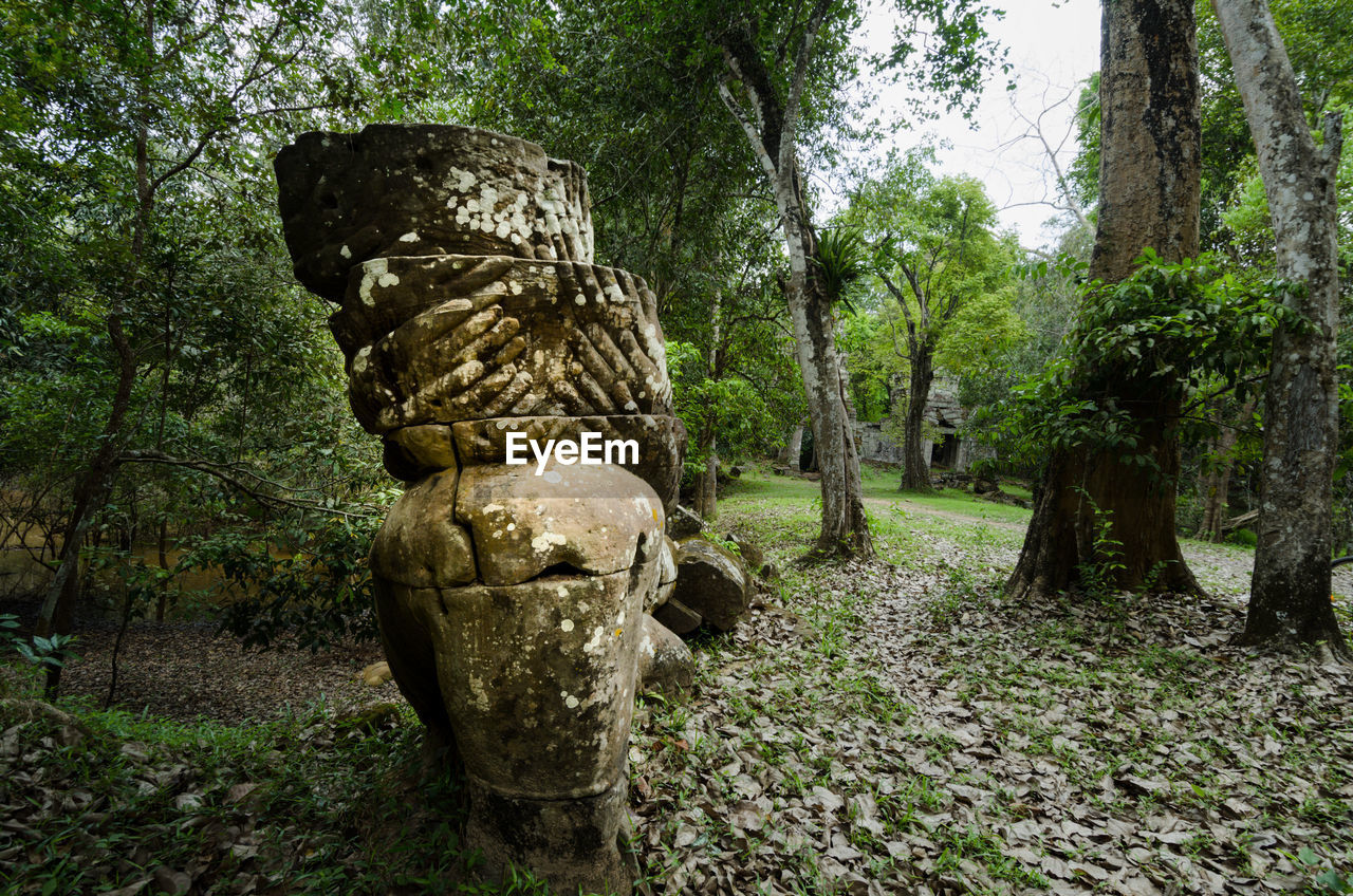 STATUE AMIDST PLANTS IN PARK